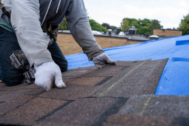 Best New Roof Installation  in Longview, WA