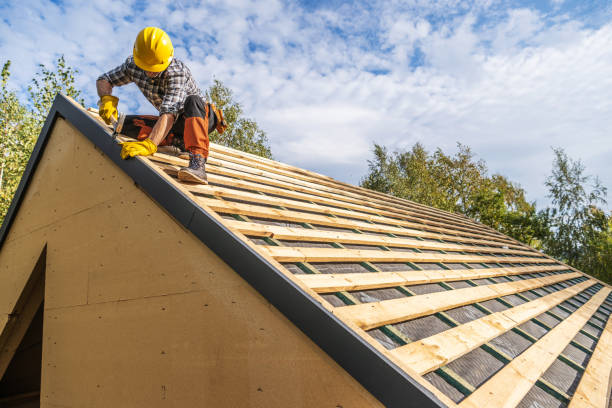 Best Roof Maintenance Services  in Longview, WA
