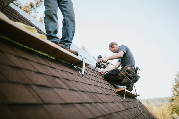 Roof Gutter Cleaning in Longview, WA
